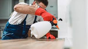 Best Residential Pest Control  in Kenilworth, PA